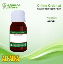 Alfalfa