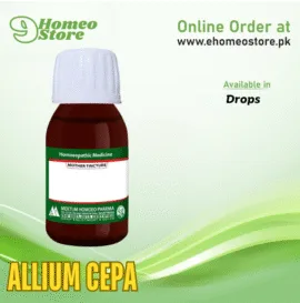 Allium Cepa