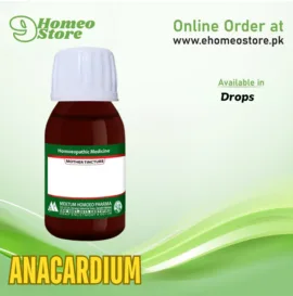 Anacardium
