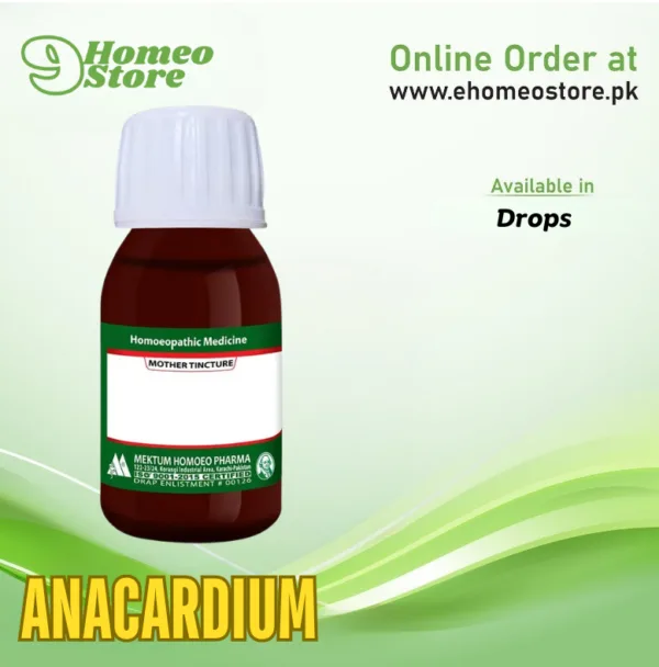 Anacardium
