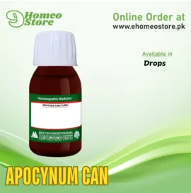 Apocynum Can