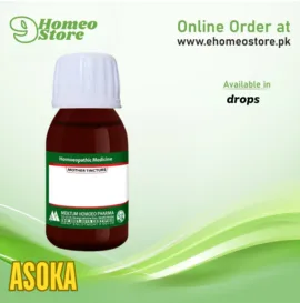 Asoka