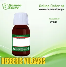 Berberis Vulgaris