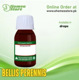 Bellis Perennis