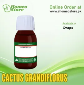 Cactus Grandiflorus