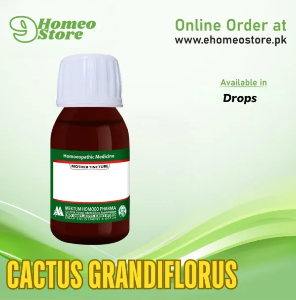 Cactus Grandiflorus