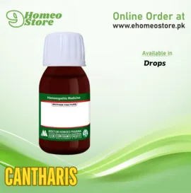 Cantharis
