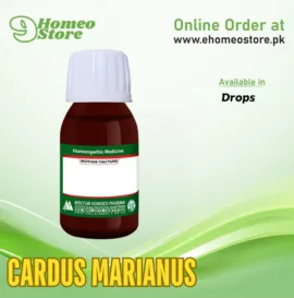 Cardus Marianus