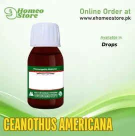 Ceanothus Americana