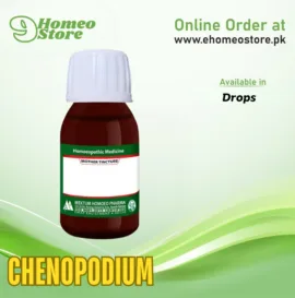 Chenopodium