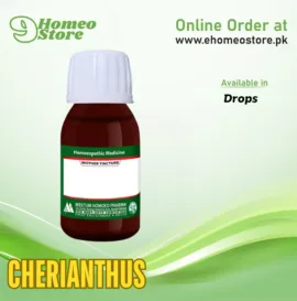 CherIanthus