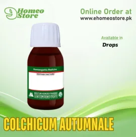 Colchicum Autumnale
