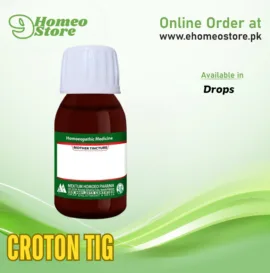 Croton Tig by Mektum