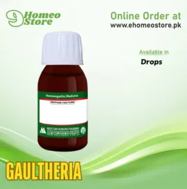 Gaultheria by Mektum