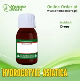 Hydrocotyle Asiatica by Mektum