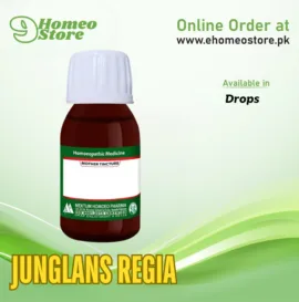 Junglans Regia by Mektum