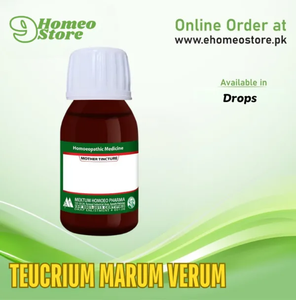 TEUCRIUM MARUM VERUM by Mektum