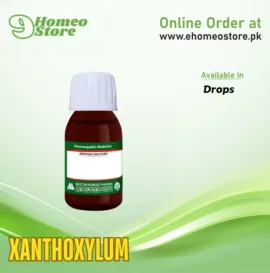 Xanthoxylum by Mektum